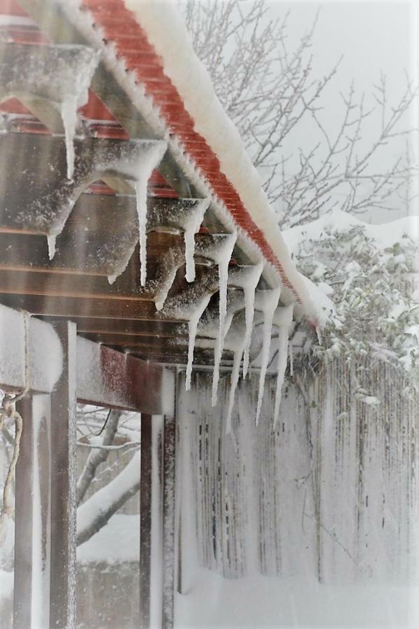 Si-Har Chalets Nimrod エクステリア 写真