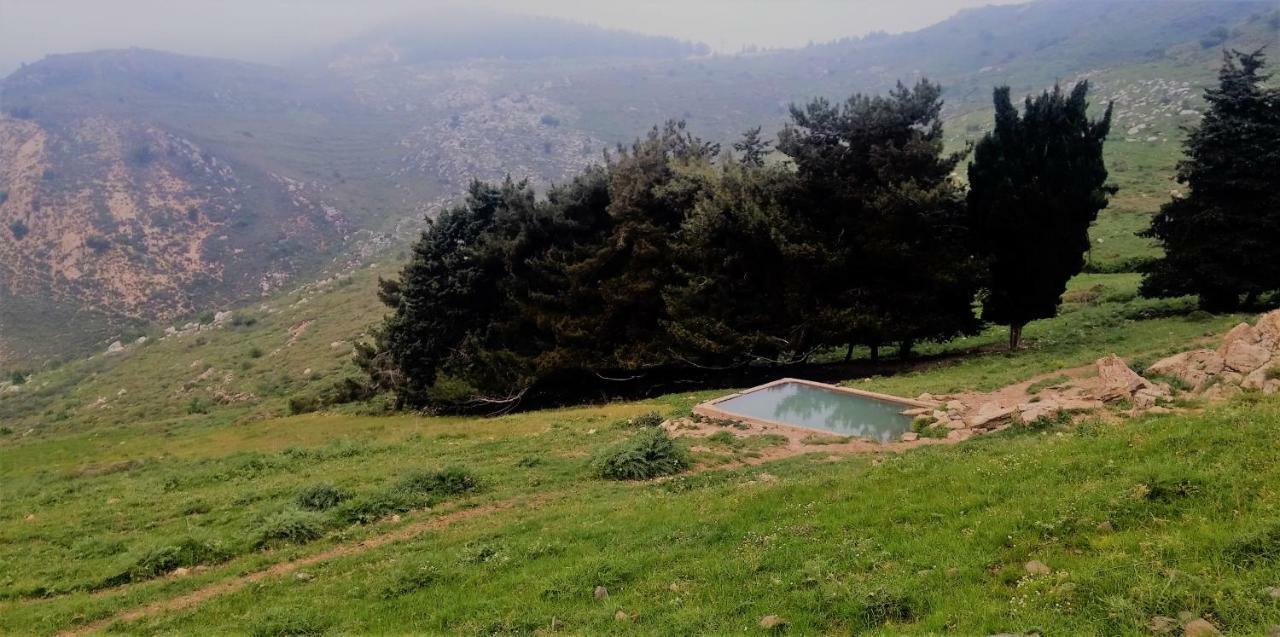 Si-Har Chalets Nimrod エクステリア 写真
